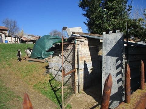 Photo of the lot 6