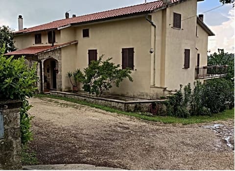Photo of the lot 2