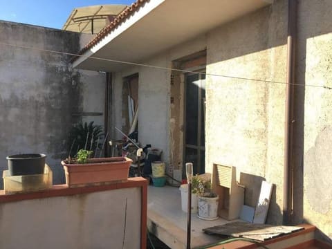 Photo of the lot 3
