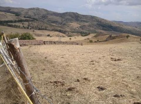 Photo: Altra categoria in Troina (EN)