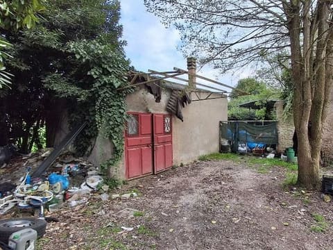 Photo of the lot 2