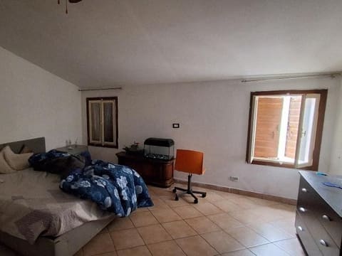 Photo of the lot 6