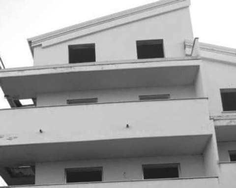 Photo of the lot 4