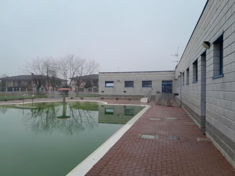 Photo of the lot 6