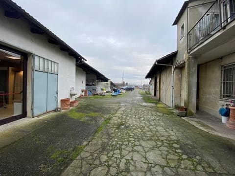 Photo of the lot 3