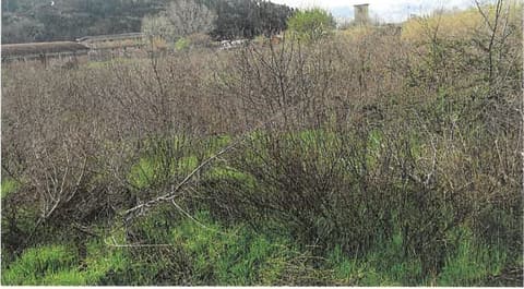 Photo: Altra categoria in Calenzano (FI)