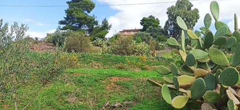 Photo: Immobile residenziale in Bolognetta (PA)