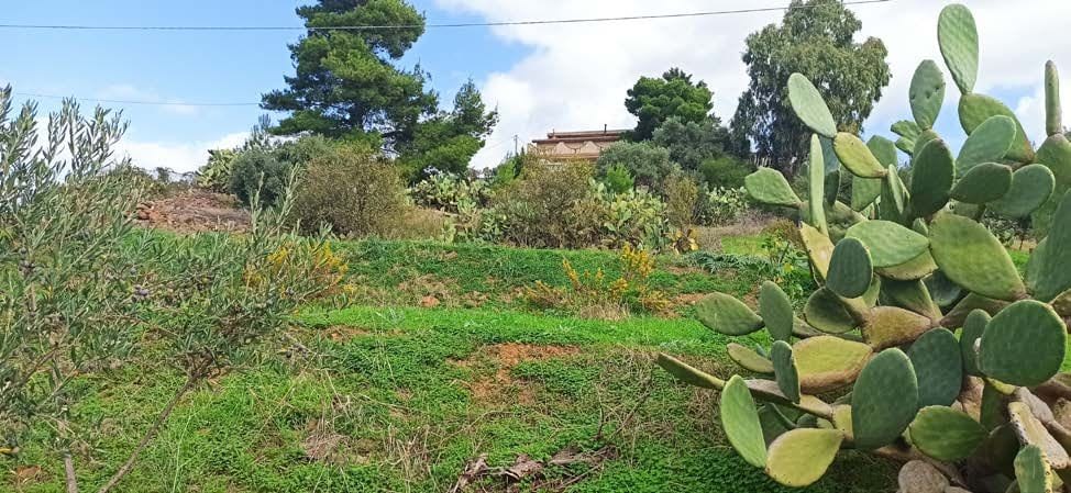 Photo of the lot: Immobile residenziale in Bolognetta