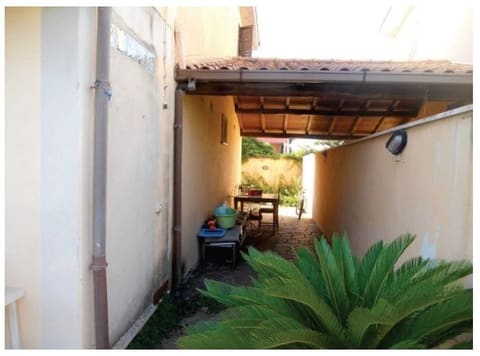 Photo of the lot 5