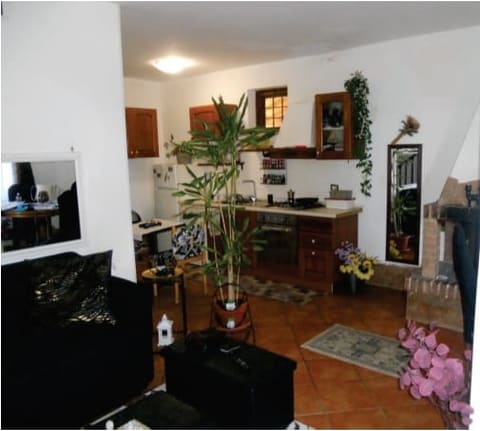 Photo of the lot 8