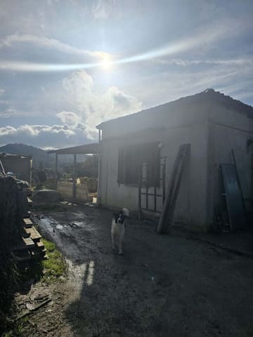 Photo of the lot 2