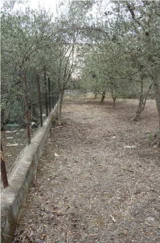 Photo: Altra categoria in Carini (PA)