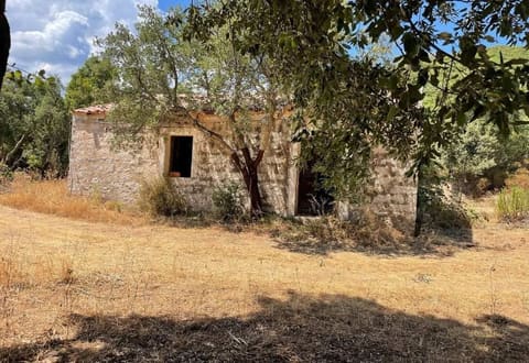 Photo of the lot 2