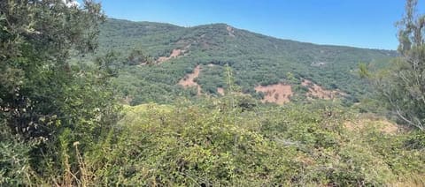 Photo of the lot 3