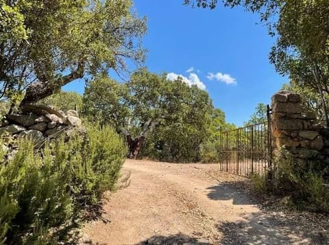 Photo of the lot 3