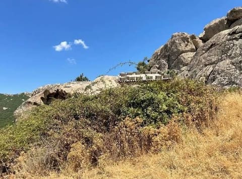 Photo of the lot 8