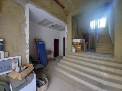 Photo of the lot 3