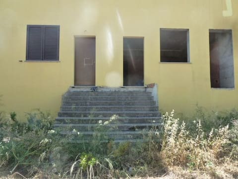 Photo of the lot 8