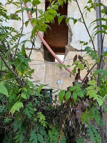 Photo of the lot 2