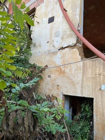 Photo of the lot 3