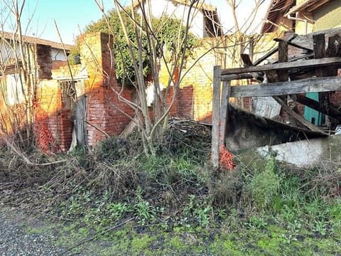 Photo of the lot 4