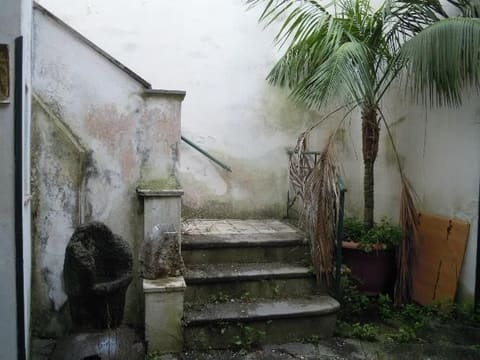 Photo of the lot 1