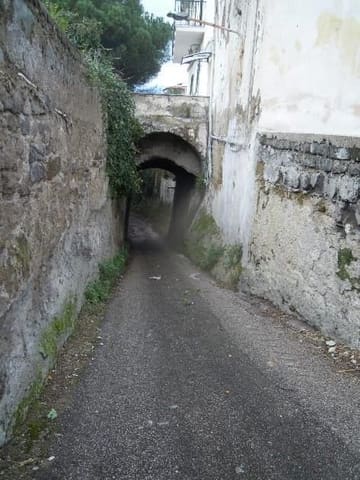 Photo of the lot 4