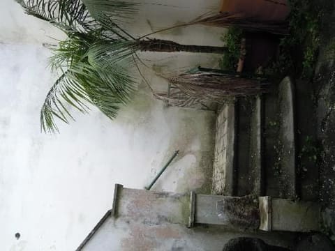 Photo of the lot 6