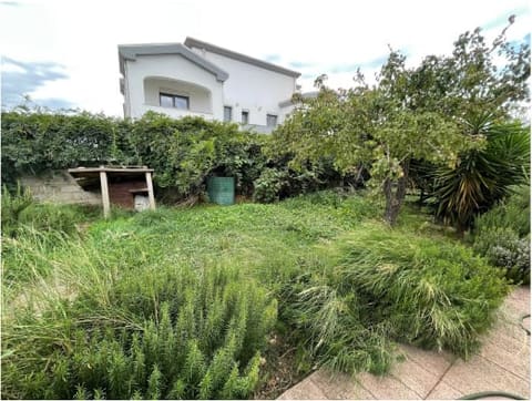 Photo of the lot 1