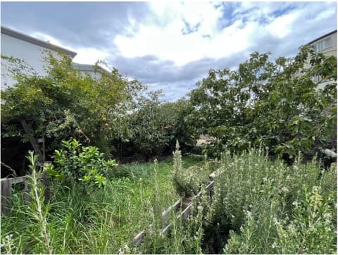 Photo of the lot 4