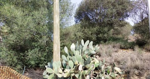 Photo of the lot 7