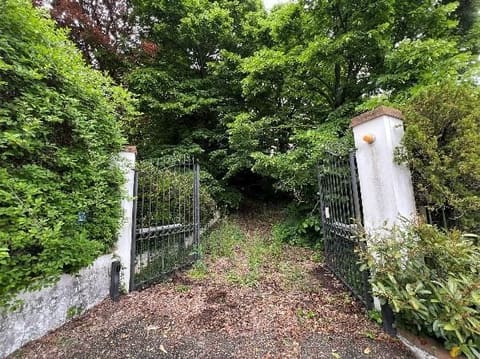 Photo of the lot 2