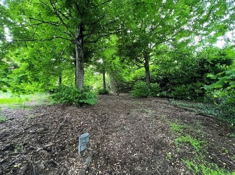 Photo of the lot 4