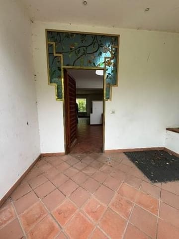 Photo of the lot 5