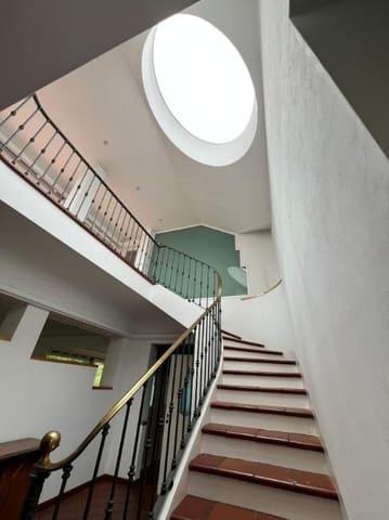 Photo of the lot 8