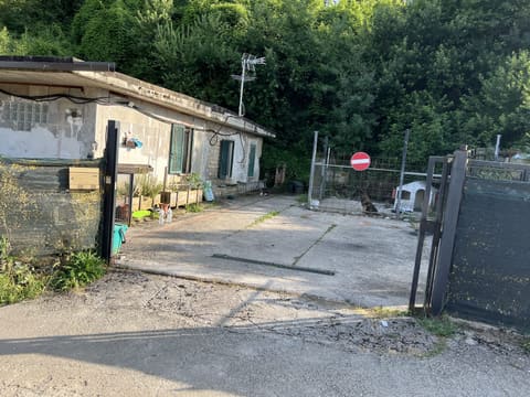 Photo of the lot 1