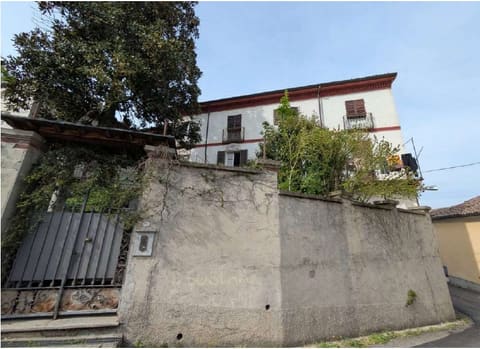 Photo of the lot 3