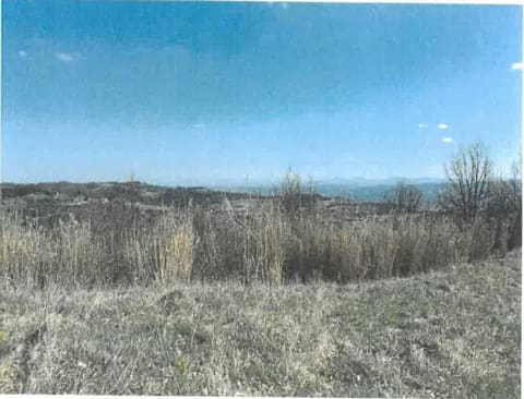 Photo: Altra categoria in Terzo (AL)