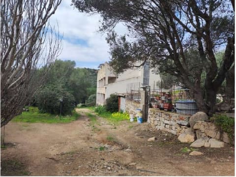 Photo: Altra categoria in La Maddalena (OT)