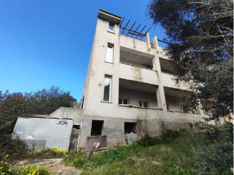 Photo of the lot 4