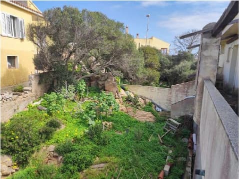 Photo of the lot 7