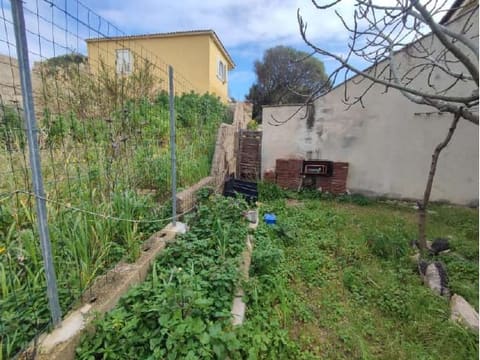 Photo of the lot 8