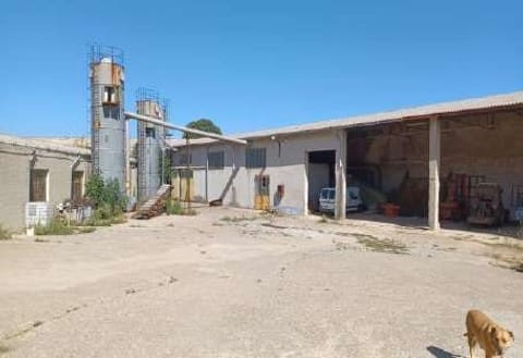 Photo: Immobile industriale in Luras (OT)