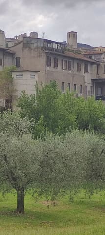 Foto del lotto 2