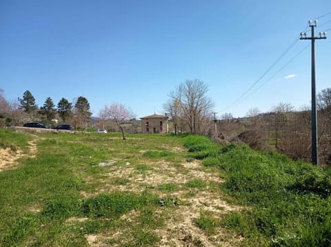 Photo of the lot 5