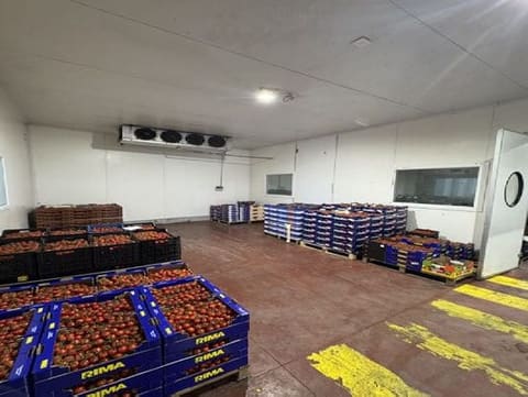 Foto del lotto 3