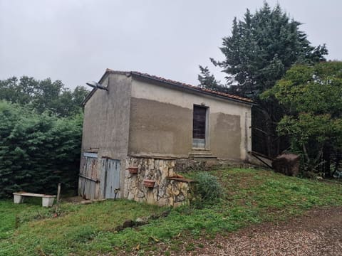 Photo of the lot 2