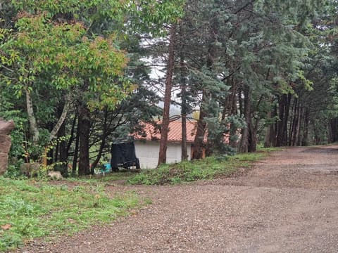 Photo of the lot 3