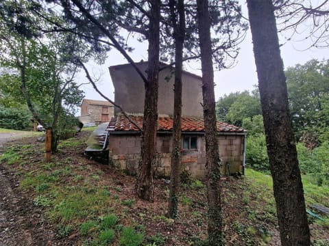 Photo of the lot 4