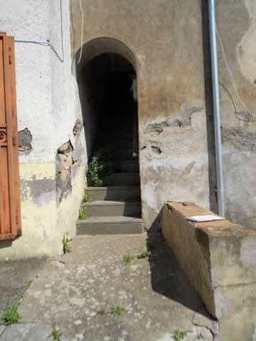 Photo of the lot 3